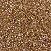 MIYUKI Delica Beads SEED-MY11-DB0901-3