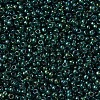 MIYUKI Round Rocailles Beads X-SEED-G007-RR0338-2