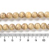 Natural Rainbow Alashan Agate Beads Strands G-NH0022-A05-02-5