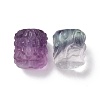 Natural Fluorite Beads G-P483-07-3