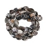 Natural Moonstone Beads Strands G-A284-A01-01-3