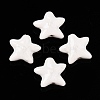 Handmade Porcelain Beads PORC-N008-03F-1