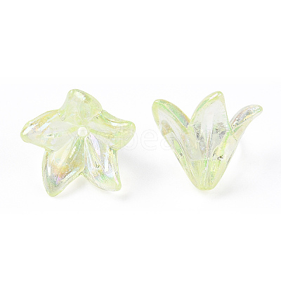 Transparent Acrylic Bead Caps OACR-H016-05C-1