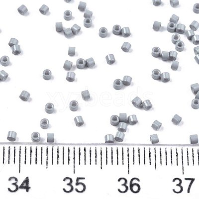 FGB 11/0 Grade A Glass Seed Beads SEED-S030-1025-1