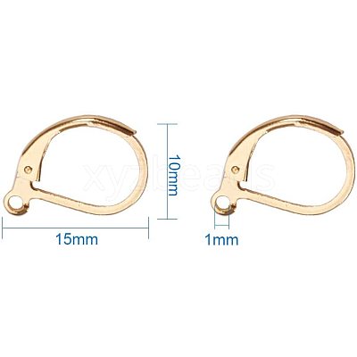 304 Stainless Steel Leverback Earring Findings STAS-PH0018-28G-1