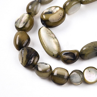 Natural White Shell Beads Strands SHEL-N036-21A-1