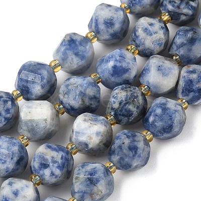 Natural Blue Spot Jasper Beads Strands G-U023-A05-01-1