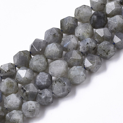 Natural Labradorite Beads Strands G-R465-33C-1