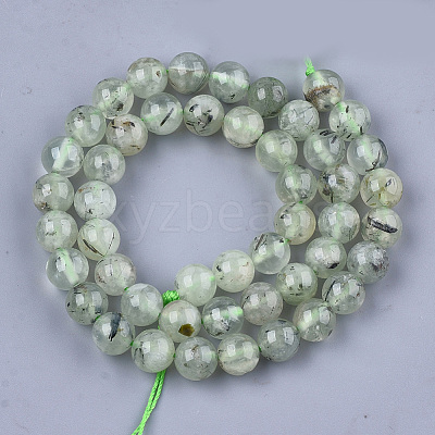 Natural Prehnite Beads Strands X-G-S333-8mm-032-1