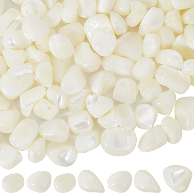 100Pcs Natural Trochid Shell/Trochus Shell Beads BSHE-SC0001-16C-1