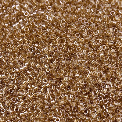 MIYUKI Delica Beads SEED-MY11-DB0901-1