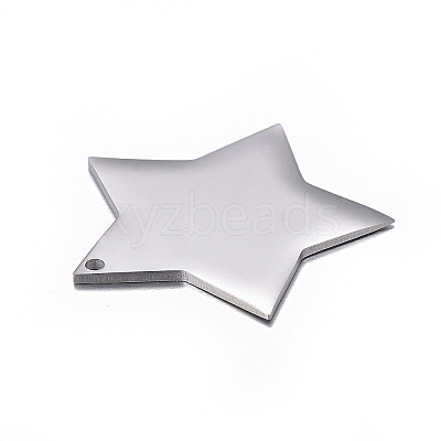 Non-Tarnish 304 Stainless Steel Pendants STAS-F254-07A-P-1