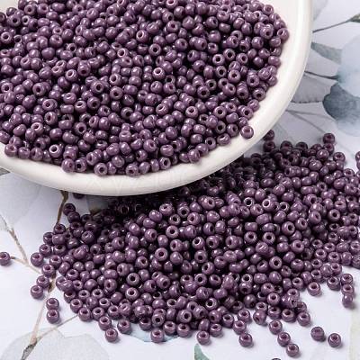 MIYUKI Round Rocailles Beads SEED-JP0009-RR4489-1