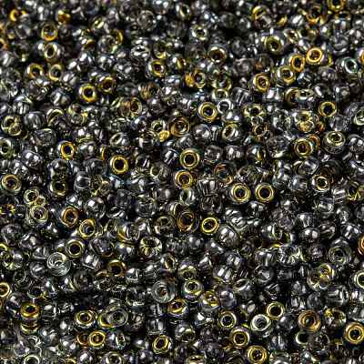 MIYUKI Round Rocailles Beads X-SEED-G008-RR4551-1