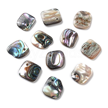 Natural Paua Shell Pendants SSHEL-D084-10A-1