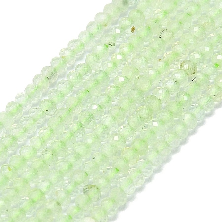 Natural Prehnite Beads Strands G-G106-A26-01-1