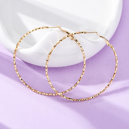 304 Stainless Steel Hoop Earrings EJEW-S250-01A-G-1