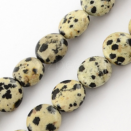 Natural Dalmation Jasper Bead Strands X-G-R189-14-1