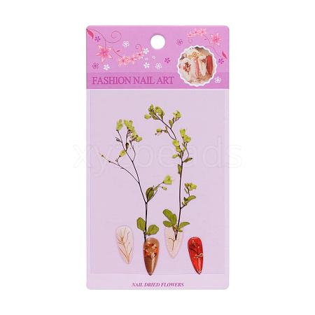 3D Dried Flowers Nail Art Decorations MRMJ-S012-049B-1