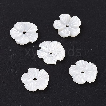 Natural Trochid Shell/Trochus Shell Beads SHEL-P014-02A-1