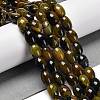 Natural Agate Beads Strands G-B079-E01-01C-1