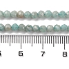 Natural Amazonite Beads Strands G-A235-A04-01-5