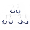 Dangle Earrings EJEW-E255-B-2