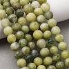Natural Chinese Southern Jade Beads Strands G-F591-08A-01-1
