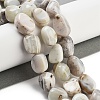 Natural Striped Agate/Banded Agate Beads Strands G-Z061-A02-01-2