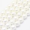 Shell Pearl Beads Strands BSHE-P024-15-1