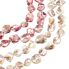 BENECREAT 4Strands 2 Style AB Color Plated Natural Freshwater Shell Beads Strands BSHE-BC0001-15-1