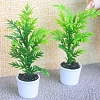 Plastic Plant Miniature Ornaments PW-WGF86AE-01-1