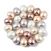 Shell Pearl Bead Strands BSHE-XCP0001-22-2