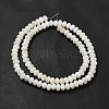 Natural Freshwater Shell Beads Strands BSHE-E026-15B-01-3