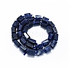 Natural Sodalite Beads Strands G-O170-101-2