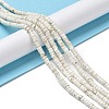 Natural Howlite Beads Strands G-E604-A01-B-2