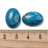Natural Howlite Cabochons G-C115-01A-27-3
