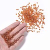 Glass Seed Beads SEED-A006-4mm-109-4