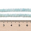 Natural Freshwater Shell Dyed Beads Strands SHEL-R100-11A-03-4