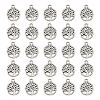 Tibetan Style Alloy Pendants FIND-DC0006-12A-1