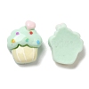 Opaque Resin Imitation Food Decoden Cabochons RESI-K027-13-3