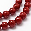 Shell Pearl Beads Strands BSHE-L026-01-4mm-3