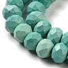 Dyed Natural Howlite Beads Strands G-G023-A01-01C-4