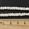 Dyed Natural Freshwater Shell Beads Strands X1-BSHE-G039-07N-4