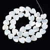 Natural Trochid Shell/Trochus Shell Beads Strands SSHEL-N034-99A-B01-2