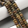 Natural Picasso Jasper Beads Strands G-Q161-B01-03-2