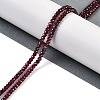 Natural Garnet Beads Strands G-H071-A02-01-2