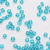 15/0 Glass Seed Beads SEED-J013-F15-19-3