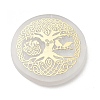 Flat Round Natural Selenite Slice Coasters AJEW-C042-01E-1