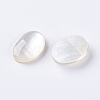 Shell Cabochons X-G-L470-15-2